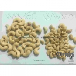 Vietnamese Cashew Nut Kernels WW180, WW210, SP