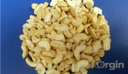 Vietnamese Cashew Nut Kernels WS, LP, LBW240