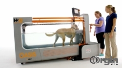 Underwater Treadmills for Humans & Canines - H2O For Fitness
