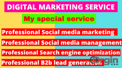 Professional digital marketing service
