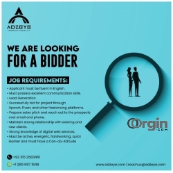 We are looking for a bidder/ Business Developer / Online Bidding Exper