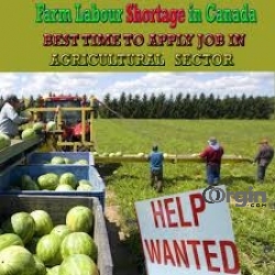 In Need of Agricultural Workers