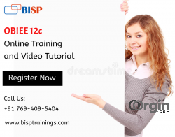  OBIEE 12c Online Training
