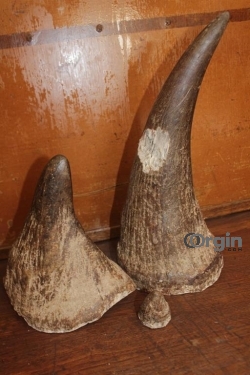 Rhino horns for sale ($25000/KG)