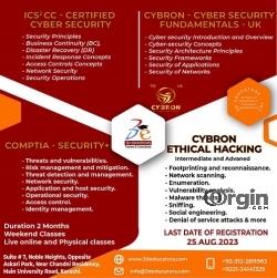 Cybron Cyber Security Professional Courses